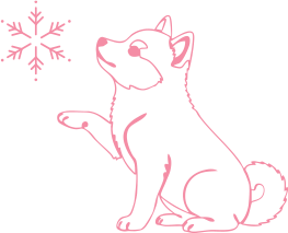 About Our Pomsky Puppies